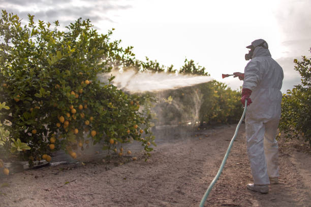 Best Commercial Pest Control Services  in Bellevue, NE